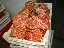 Cooked King Crab Whole