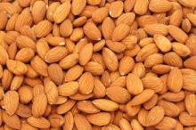 Organic Almond  nuts  in  bulk 