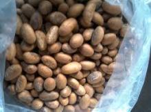 Bitter Kola Nuts