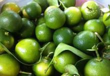 Calamansi whole, Calamansi Juice