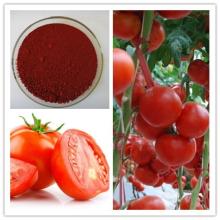 Tomato Extract  lycopene 
