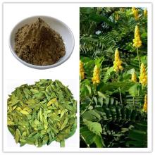 Senna Leaf Extract Sennosides
