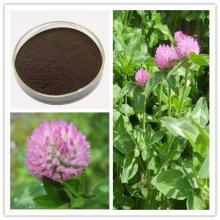 Red Clover Extract  Isoflavone s