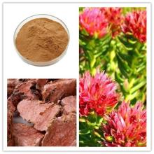 Rhodiola Rosea Extract  Salidroside 