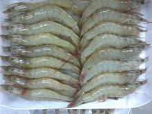  Frozen   Vannamei  HOSO