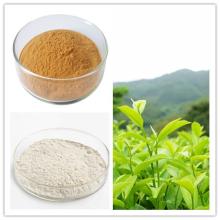 Green  Tea  Extract  Tea  Polyphenol & EGCG