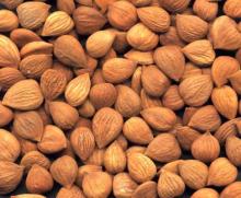 Grade A Apricot Kernels