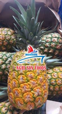 Fresh Pineapple