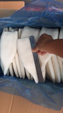 squid tubes
