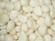Fresh Garlics cloves