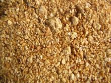 SOYBEANS  FEED  FOR  ANIMAL  GERMAN  ORIGIN 