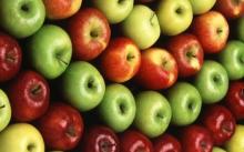 Fuji Variety and Pome  Fruit  Product Type Fresh apples  FRUIT 