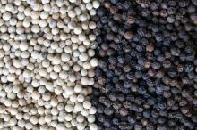 White Pepper