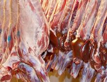Halal Fresh/Frozen Sheep/Goat/Lamb Meat/Carcass forsale at a low rate