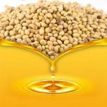 Crude and Refined Soybean Oil