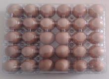 Fresh Chicken Brown/White Eggs Grade A