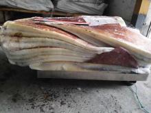 Frozen Giant Squid Wing