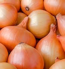  New   Crop   Fresh   Red   Onion  Yellow  Onion 