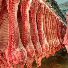 Frozen Pork and parts for sale
