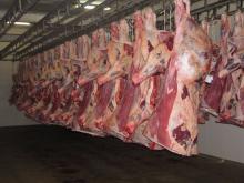 Processed Frozen Beef Meat for sale
