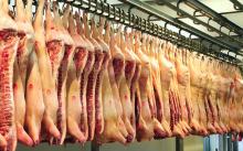 Frozen Suckling pork hind and fore knuckles,Suckling Pork Cuts for sale