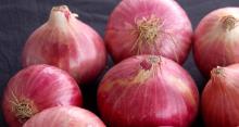 Fresh Red Onion