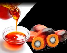 PALM RED OIL