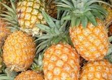 Sweet Pineapples