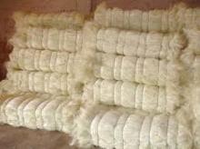 100% UG and SSUG  Natural  Raw Sisal Fiber / Sisal Fibre for Sale