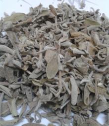 Sage leaf
