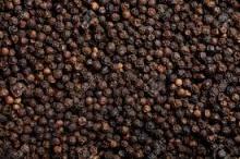 Black Pepper / Pepper Seed & White Pepper best quality