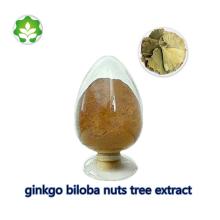 ginkgo   biloba  nuts tree extract  24 % gingko flavonoids  6 % total terpene lactones nutritional suppleme