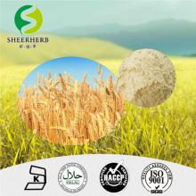 Factory Wholesale  Hydrolyzed  Wheat  Protein /Pure Extract