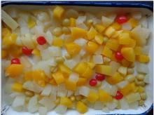 Canned tyle mixed fruit cocktail