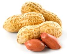 High Quality Red skin peanut ,peanuts