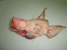  FROZEN   PORK   HEAD S /  FROZEN  PIG  HEAD S WITH EARS