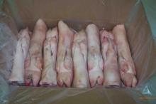 FROZEN PORK HIND FEET // FROZEN PIG HIND FEET