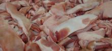 FROZEN PORK CUTTING FAT // FROZEN PIG CUTTING FAT
