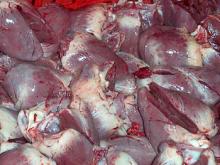 FROZEN PORK HEART // FROZEN PIG HEART