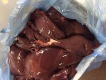 FROZEN PORK LIVER // FROZEN PIG LIVER