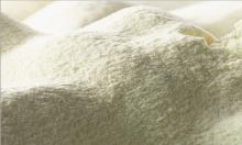 WHOLE MILK POWDER 28% FAT // WHOLE MILK POWDER 26% FAT