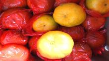  fresh   orange   honey  mandarin
