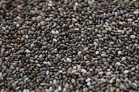 Organic and Conventional Chia Seed in Bulk for sale