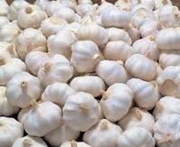 Fresh Garlic/Dehydrated Garlic/Black Garlic,Fried Garlic,
