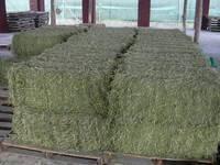 Best Quality Alfafa Hay,Timothy Hay, Alfafa in  Bales 