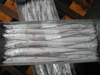 Frozen Ribbon Fish, Frozen Tilapia Fillet, Frozen Mackerel, Frozen Pacific Mackerel