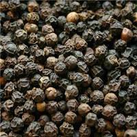 Black Pepper and White Pepper for sale at best prices