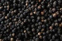 Sarawak Black Pepper 500gl,550gl/White Pepper/Dried Cloves for sale