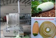 Stainless steel vegetable and fruit pumpkin peeling machine
