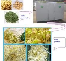 automatic warm control high yield soya bean sprout machine